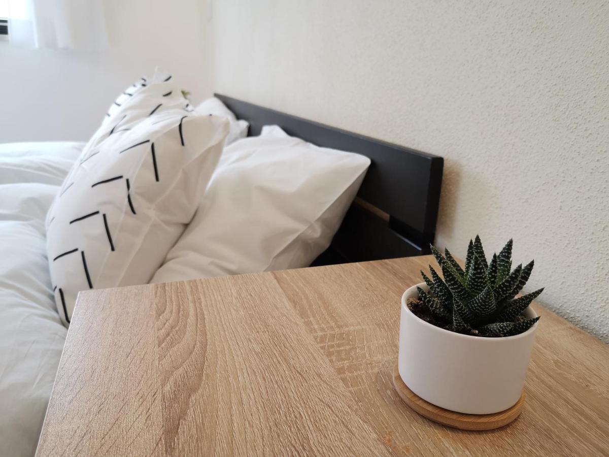 Moderne Ferienwohnungen Mit Designbad Petting エクステリア 写真